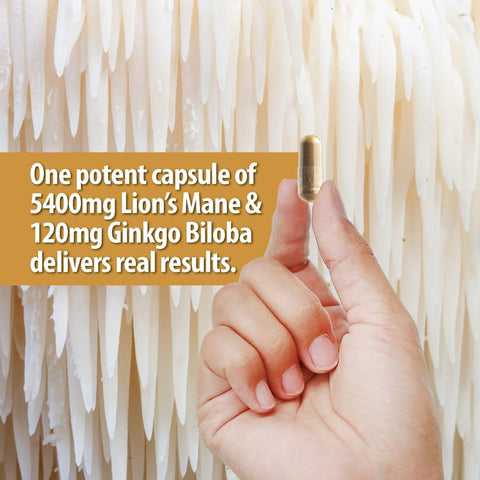 NooMost - Suplemento de Cogumelo do Leão Orgânico em Cápsulas 5400mg, Ginkgo Biloba 120mg – Vegan Lion Mane para Função Cognitiva, Clareza Mental, Foco