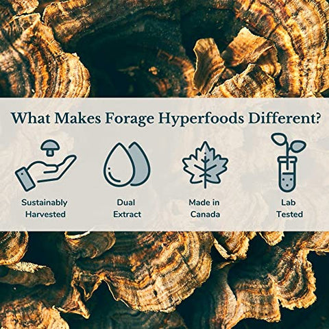 Extrato Líquido de Superalimento de Cauda de Peru Selvagem Canadense Original, Vegano, Não-OGM, Suporte à Saúde Imunológica e Intestinal, 118ML - Forage Hyperfoods