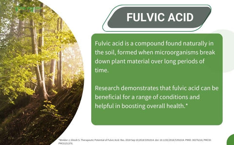 THE HEALTHY LIFE 4 ME - Fulvic Acid Humic Trace Minerals Líquido | Hidratação | Suplemento Keto | Energia | Equilíbrio de pH | Cabelo | Fornecimento de 2 Meses | Cor Líquida – Marrom