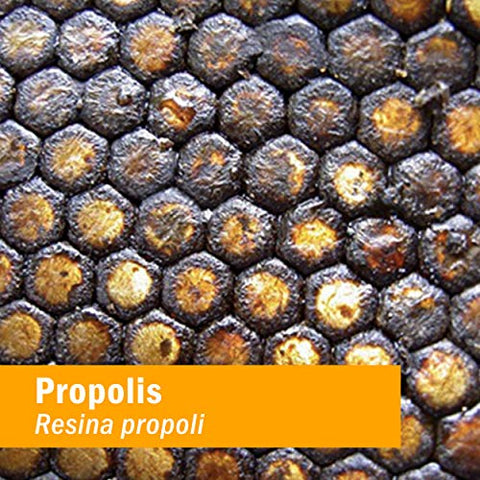 Extrato Líquido de Própolis para Suporte ao Sistema Imunológico – 118 ml - Herb Pharm