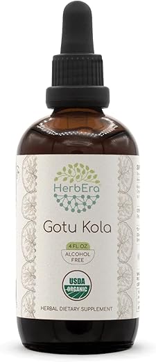 HerbEra - Gotu Kola B120 Tintura Orgânica USDA | Extrato Livre de Álcool, Gotas de Ervas de Alta Potência | Centella Asiática Certificada Orgânica (4 oz)