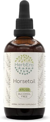 HerbEra - Horsetail B120 Extrato Herbal em Gotas Líquidas Concentradas, Livre de Álcool (Equisetum arvense) 120ml