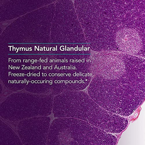 Thymus – Suplemento de Tecido de Timo, Extrato Glandular, 1000mg de Glândula de Timo Crua, Ovina, Liofilizada, Hipoalergênica – 75 Unidades - Nutricology