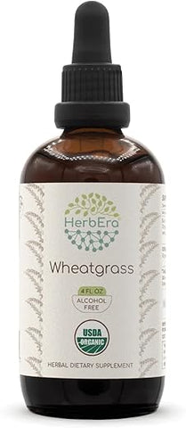 HerbEra - Tintura Orgânica de Trigo B120 USDA | Extrato Livre de Álcool, Gotas Herbais de Alta Potência, Suplemento Líquido | Trigo Orgânico Certificado (Triticum aestivum) Folha Seca (113 g)