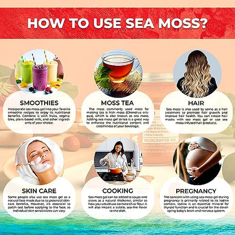 WELLNESS LABSRX - Gel de Musgo do Mar Irlandês Orgânico Cru – Gel de Superfood de Musgo Selvagem – Sabor Morango, Rico em Vitaminas e Minerais das Águas Pristinas do Caribe, Saúde Imunológica e Digestiva – Marca: Irish Sea Moss Gel
