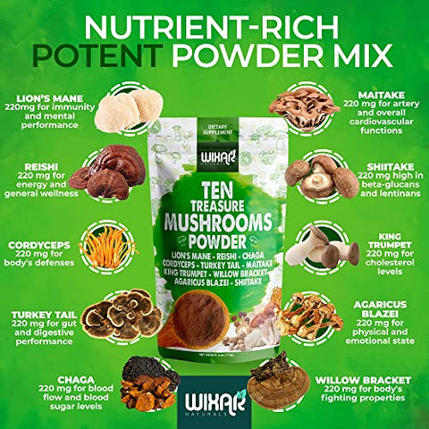 WIXAR NATURALS - Wixar Pó de Cogumelo – Mistura de Extrato de Dez Tesouros de Cogumelos para Café
