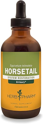 Extrato Líquido de Cavalinha para Suporte ao Sistema Urinário – 120 ml - Herb Pharm
