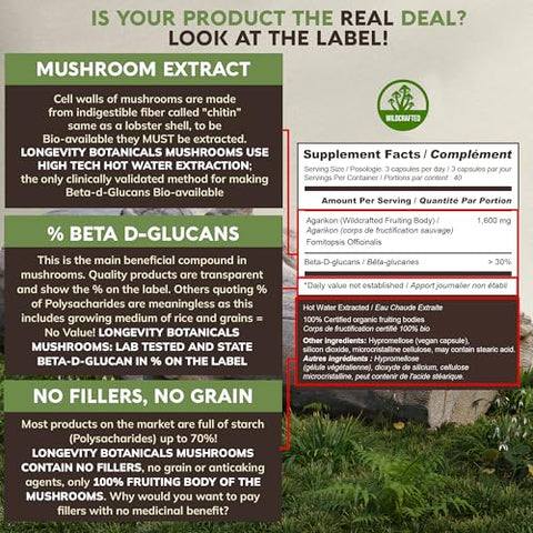 Cápsulas de Agarikon Silvestre – Suplemento de Agarikon Ultra Concentrado – Promove um Sistema Imunológico Equilibrado – 100% Corpo Frutífero – 120 Cápsulas - Longevity Botanicals