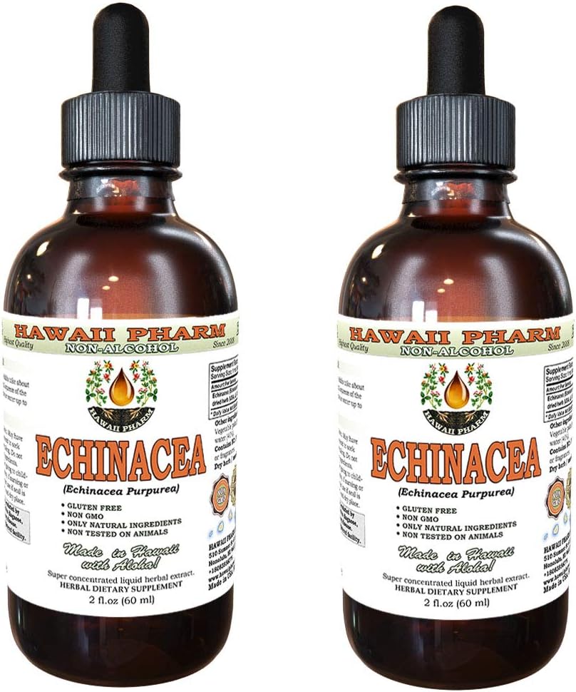 Echinacea Líquido Sem Álcool, Extrato de Echinacea Orgânica (Echinacea Purpurea) Erva Seca Glicerito Hawaii Pharm Suplemento Herbal Natural 2×60 ml