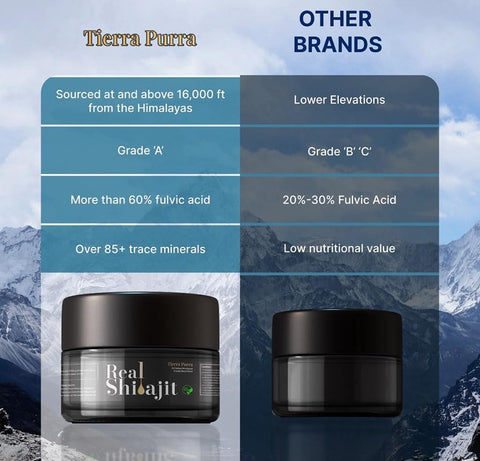 TIERRA PURRA - Shilajit Puro do Himalaia – Resina Orgânica 30g, 60 Porções | Minerais Traços para Metabolismo e Suporte Imunológico