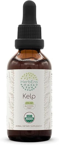 HerbEra - Kelp B60 Tintura Orgânica USDA | Extrato Livre de Álcool, Gotas Herbais de Alta Potência | Kelp Orgânico Certificado (Ascophyllum nodosum) Planta Seca (60 ml)