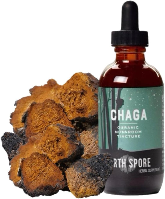 Tintura de Cogumelo Chaga | Energia | 30ml - North Spore