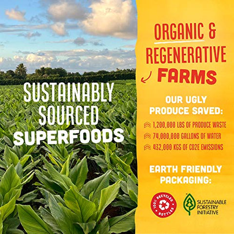 Energy Shot – Suporte Imunológico com Ashwagandha e Chá Verde | Marca Vive Organic - Vive Organic