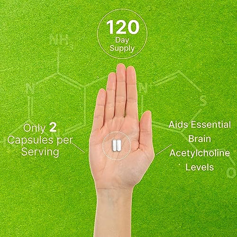 Alpha GPC 600mg por Porção, 240 Cápsulas – Reposição de Colina Bioativa – Suplementos para Saúde Cerebral, Memória e Concentração – Livre de Transgênicos e Glúten - DEAL SUPPLEMENT