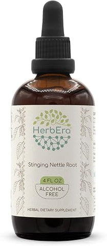 HerbEra - Extrato Herbal de Raiz de Urtiga Dioica B120, Tintura Concentrada sem Álcool, Gotas Líquidas Naturais de Urtiga Dioica, Raiz Seca (120 ml)