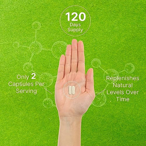 DEAL SUPPLEMENT - Suplemento de Fosfatidilserina, 400mg por Porção, 240 Cápsulas – Fonte de Lecitina de Girassol Livre de Soja