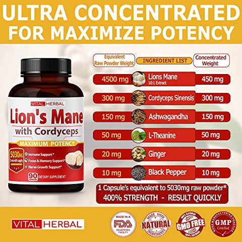 ASTART - VITAL HERBAL Cápsulas de Cogumelo do Leão com Cordyceps Equivalente a 5030mg – Máxima Potência Suplemento Cerebral L-Theanine Ashwagandha para Foco Memória Energia Humor Suporte 90