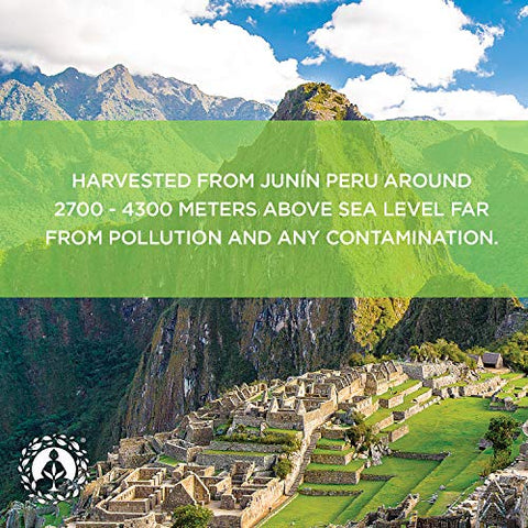 Maca em Pó Orgânica – Raiz Peruana Premium Superfood (Crua) – USDA – 100g - Zen Spirit