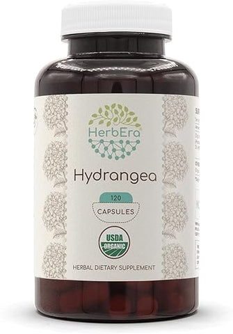 HerbEra - Hydrangea Orgânica USDA 120 Cápsulas | Suplemento Herbal Natural | Cápsulas Vegetarianas Certificadas Orgânicas e Raiz Seca de Hortênsia Orgânica (Hydrangea arborescens) (120 Cápsulas)