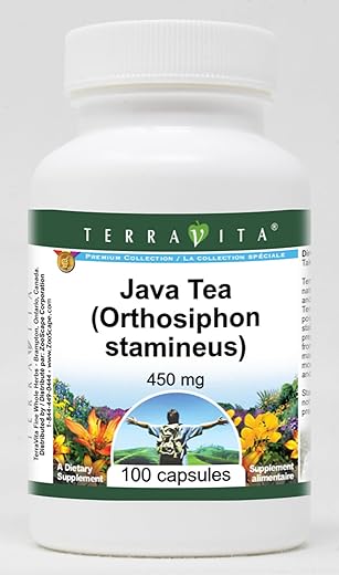 Terravita - Chá de Java (Orthosiphon stamineus) – 450 mg (100 Cápsulas) – 2 Pacotes