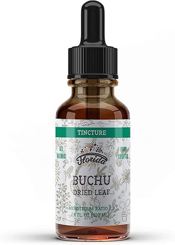 FLORIDA HERBS - Buchu Tincture: Extrato Orgânico de Buchu (Agathosma Betulina) em Glicerina Vegetal Orgânica, 700 mg, 120 ml