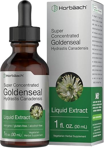 Extrato Líquido de Raiz de Goldenseal Horbäach | 30 ml | Super Concentrado | Livre de Álcool | Vegetariano | Não-OGM | Sem Glúten