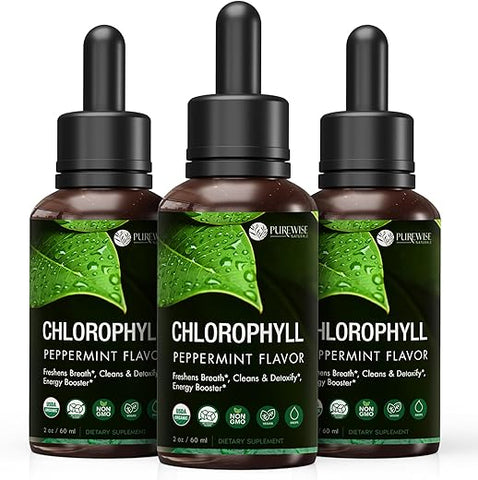 PureWise - Gotas Líquidas de Clorofila – Impulso Energético, Suporte Imunológico, Desodorante Interno, Poderoso Antioxidante, Digestão, Desintoxicação – 100% Natural, Não Transgênico, Vegano, Sabor Menta – Kit com 3