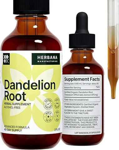 HERBANA MANUFACTURING - Extrato Líquido de Raiz de Dente-de-leão – Suplemento Herbal Natural para Limpeza e Função Digestiva – 100ml