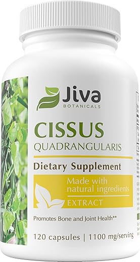 Cápsulas de Cissus Quadrangularis 550 mg por Cápsula – Extrato de Cissus em Cápsulas da Planta Cissus Quadrangularis – Extrato em Pó de Cissus de Alta Potência – 120 Cápsulas - Jiva Botanicals