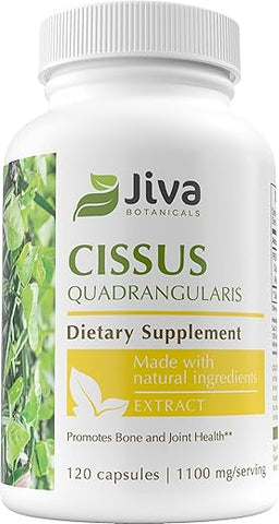 Cápsulas de Cissus Quadrangularis 550 mg por Cápsula – Extrato de Cissus em Cápsulas da Planta Cissus Quadrangularis – Extrato em Pó de Cissus de Alta Potência – 120 Cápsulas - Jiva Botanicals