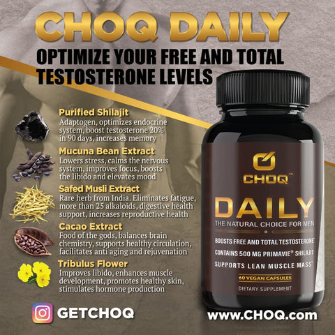 Daily 60 Cápsulas Veganas | A Escolha Natural para Homens | Marca CHOQ - CHOQ