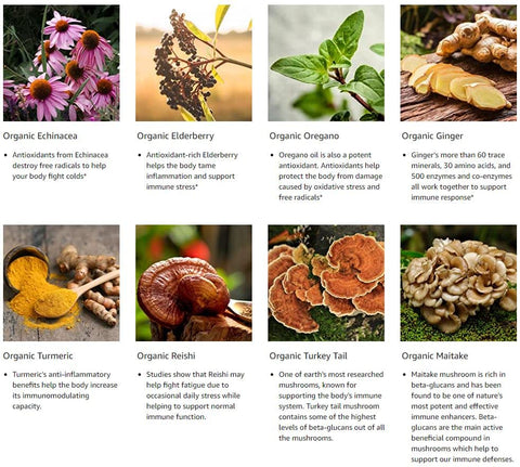 Nature’s Immune – Suporte Diário Avançado ao Sistema Imunológico com Sabugueiro, Equinácea, Gengibre, Cúrcuma, Orégano, Cauda de Peru, Reishi - Greenworks