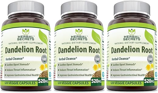 Dandelion Root 520 Mg 120 Cápsulas Vegetais (Não-OGM) – Melhora a Saúde Gastrointestinal, Reduz Inflamação na Garganta (Pacote com 3) - Herbal Secrets