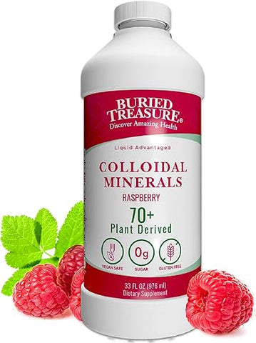 Complexo Mineral Fulvic Buried Treasure – 32oz, Sabor Natural de Framboesa com mais de 70 Minerais Derivados de Plantas, Reposição de Eletrólitos Não-OGM, Vegetariano, Essencial Diário e