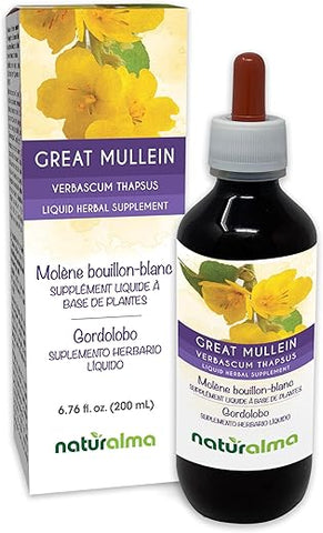 Flor e Folha de Verbascum thapsus (Molene) Naturalma – Tintura sem álcool – 200 ml – Extrato líquido em gotas – Vegano