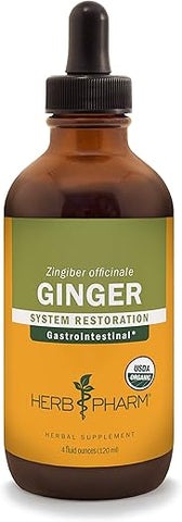 Extrato Líquido de Gengibre Orgânico Certificado – Suporte Digestivo 4 fl. oz (118 ml) - Herb Pharm