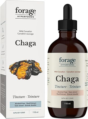 Chaga Selvagem Canadense Líquido Suplemento de Cogumelo Extrato, Vegano, Não-OGM, Impulsionador Natural do Sistema Imunológico, 118ML - Forage Hyperfoods