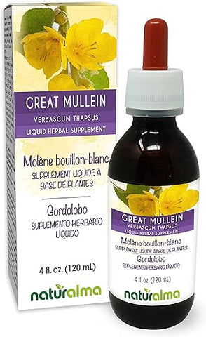 Tintura de Mullein ou Verbascum thapsus – Naturalma: Flor e Folha sem Álcool – 120 ml Extrato Líquido em Gotas – Herbal Vegano