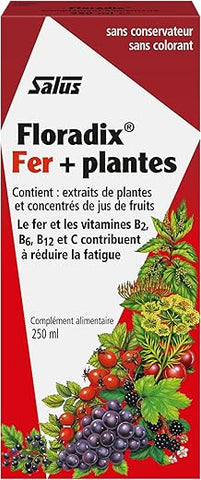 Salus - Floradix: Fórmula Líquida de Ferro e Vitaminas 250ml