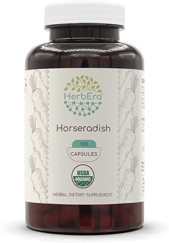 HerbEra - Horseradish Orgânico USDA 120 Cápsulas | Suplemento Herbal Natural | Cápsulas Vegetarianas Certificadas Orgânicas e Raiz Seca de Horseradish Orgânico (Armoracia rusticana) (120 Cápsulas)
