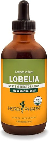 Extrato Líquido de Lobelia Orgânica Certificada para Suporte ao Sistema Musculoesquelético – 120 ml - Herb Pharm