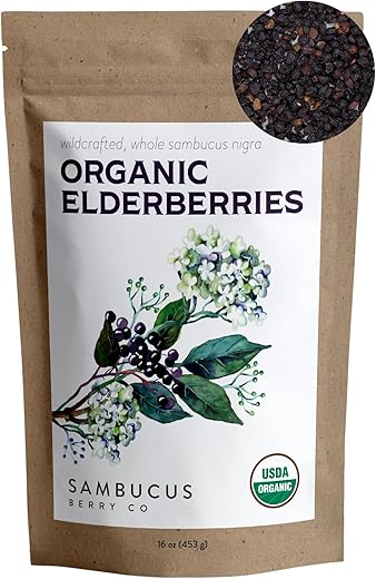Organic Elderberries 454g – Benefícios para a saúde e bem-estar - Waterglider International