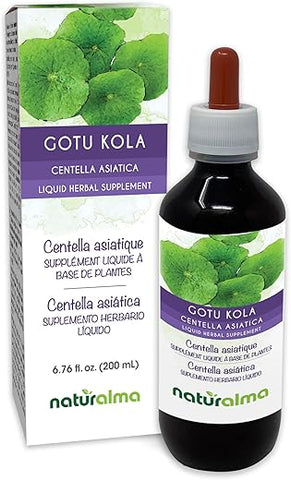 Gotu Kola Naturalma – Tintura sem álcool de Centella asiatica – Extrato líquido em gotas 200 ml – Herbal Vegan