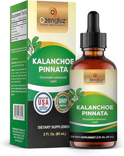 Ozengluz - Kalanchoe Pinnata-Siempreviva: Extrato Líquido de Folha e Caule Secos, Glicerina. Antioxidantes Naturais. 1 Frasco