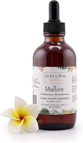 Herbal Wellness Hawaii - Flor de Mullein Orgânica (Verbascum Thapsus) em Tintura Seca – Suplemento Herbal para Bem-Estar Geral, Livre de Álcool 120 ml