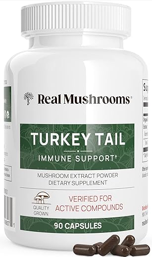 Cápsulas de Turkey Tail Orgânico com Extrato Potente de Turkey Tail para Intestino, Energia e Cérebro | 60 Cápsulas - Real Mushrooms