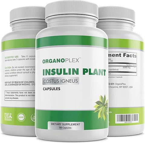 ORGANOPLEX - Cápsulas de Insulina Vegetal (Costus Igneus), Suplemento 100% Natural, 360 Cápsulas Vegetais (2 Meses de Fornecimento) – Insulina Vegetal