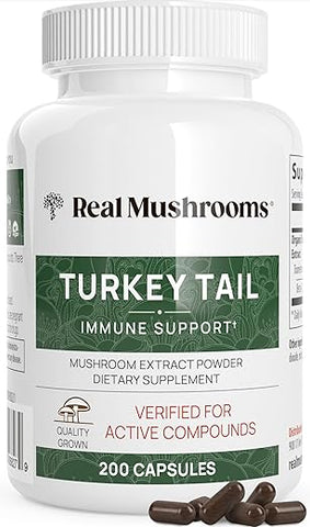 Real Mushrooms - Cápsulas de Cogumelo do Rabo de Peru Orgânico – Suplemento de Cogumelo do Rabo de Peru Potente para Intestino, Energia, Cérebro