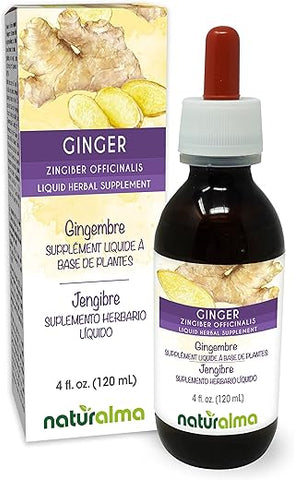 Gengibre (Zingiber officinalis) Tintura sem Álcool de Rizoma – 120 ml Extrato Líquido em Gotas – Vegano - Naturalma