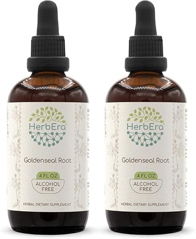 HerbEra - Goldenseal Root B120 (2 unidades) Extrato Herbal sem Álcool em Tintura, Goldenseal (Hydrastis Canadensis) Responsavelmente Cultivado, Raiz Seca Super Concentrada (2×120 ml)